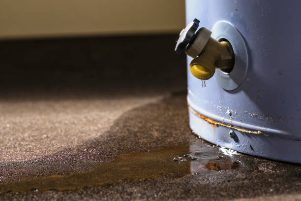 Best Professional water damage repair  in Arizona City, AZ