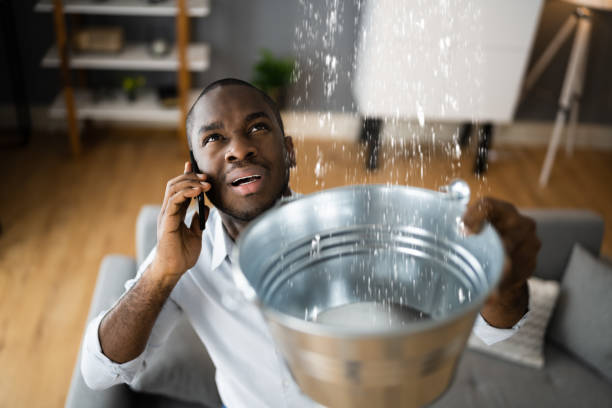 Best Carpet water damage restoration  in Arizona City, AZ