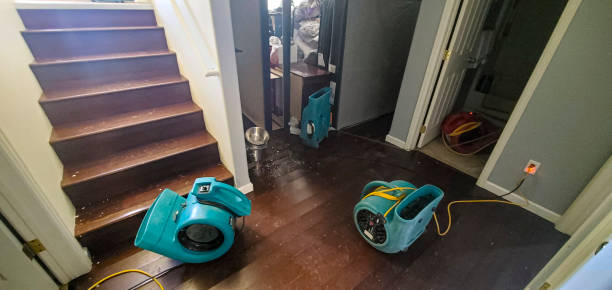 Best Residential water damage restoration  in Arizona City, AZ
