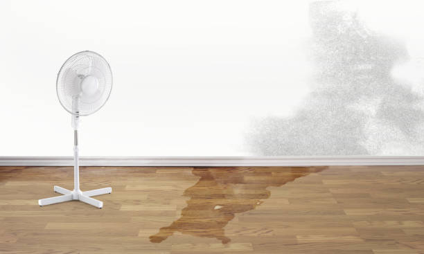 Best Sewage cleanup and water damage restoration  in Arizona City, AZ