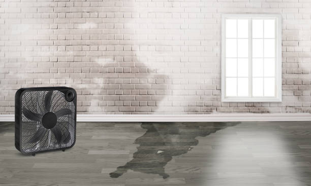 Best Fire Damage Restoration  in Arizona City, AZ