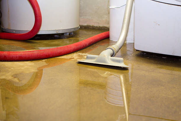 Local water damage restoration in AZ