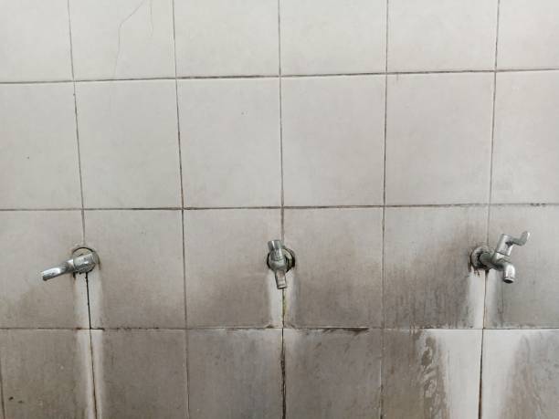 Best Flood damage cleanup  in Arizona City, AZ