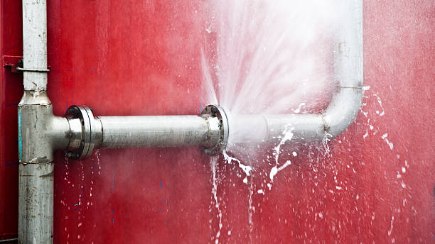 Best Local water damage restoration  in Arizona City, AZ